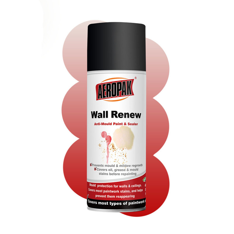 400ml Aerosol Anti Mould Stain Block Wall Spray Paint for Interior Walls and Ceilings